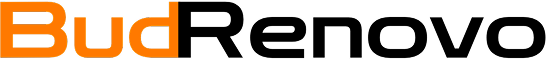 logo of budrenovo